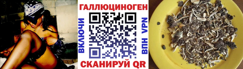 Галлюциногенные грибы мухоморы  Кологрив 