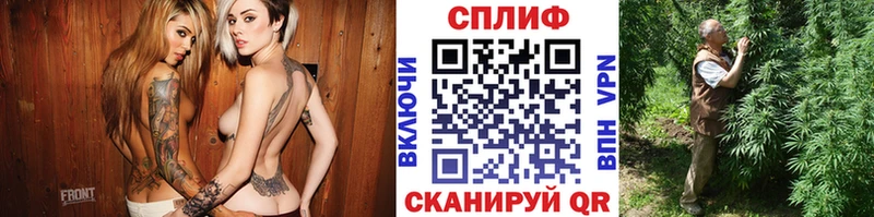 Шишки марихуана OG Kush  где купить   Кологрив 